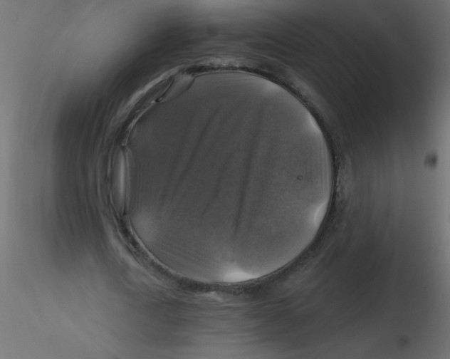 X0000116590722200912312035