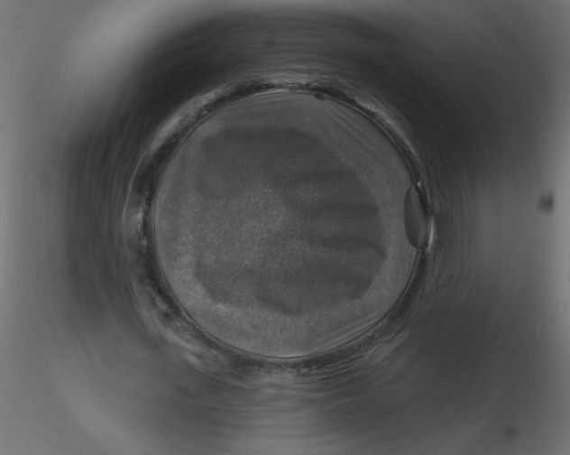 X0000116590723200912312035