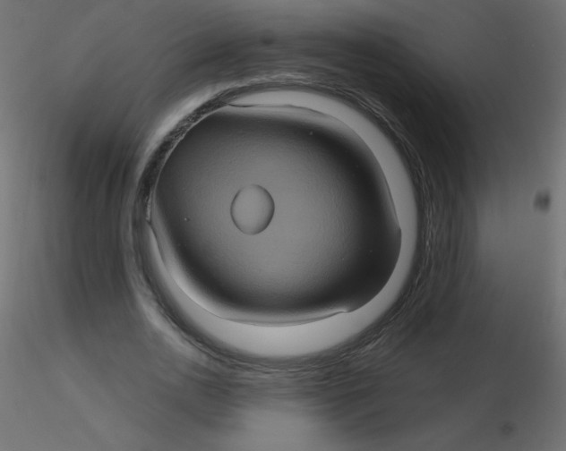 X0000116590726200912312035