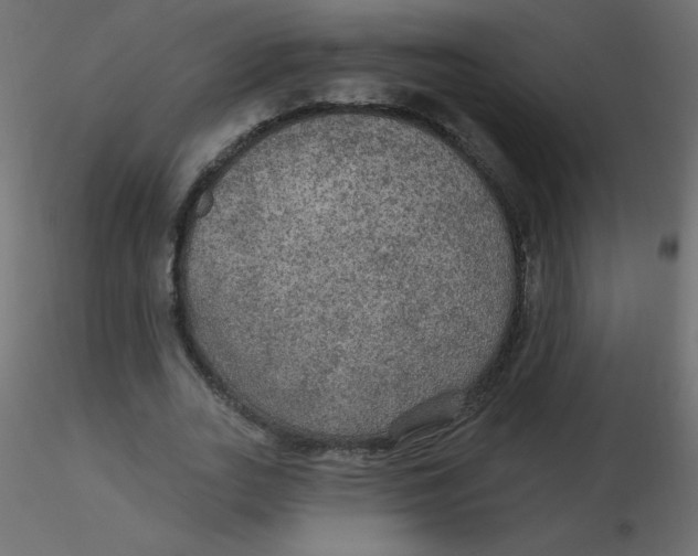 X0000116590727200912312035