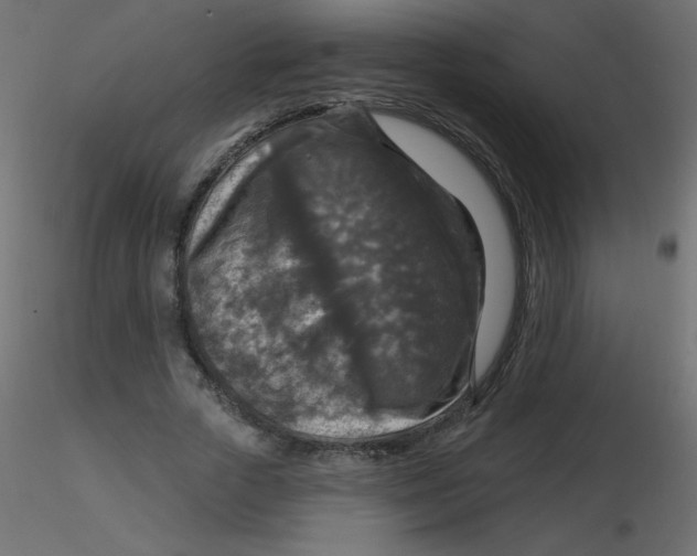 X0000116590729200912312035