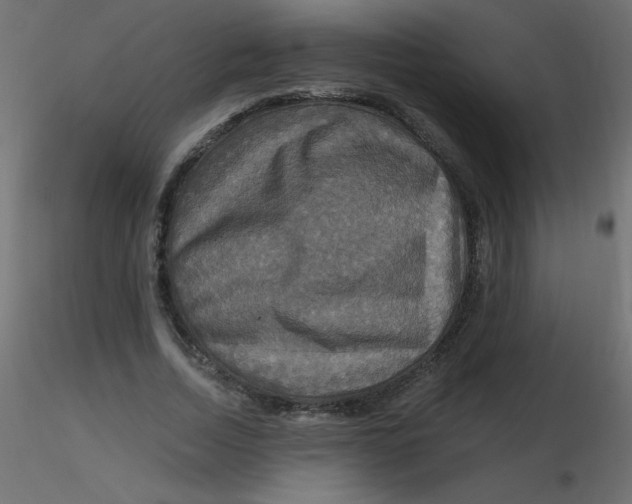 X0000116590730200912312035