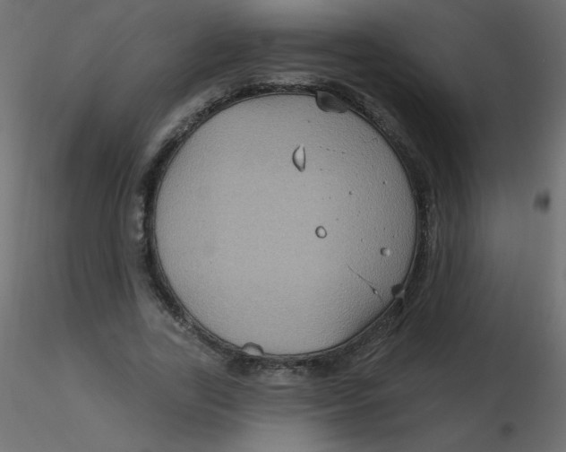 X0000116590731200912312035