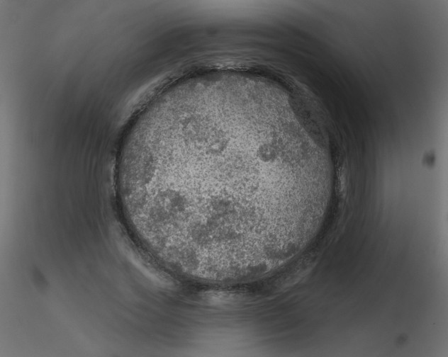 X0000116590733200912312035