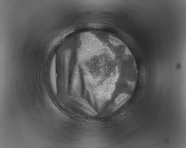 X0000116590734200912312035