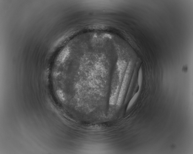 X0000116590735200912312035