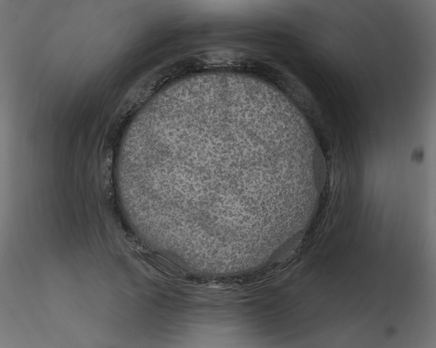 X0000116590737200912312035