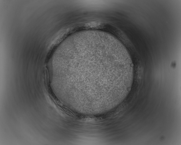 X0000116590738200912312035