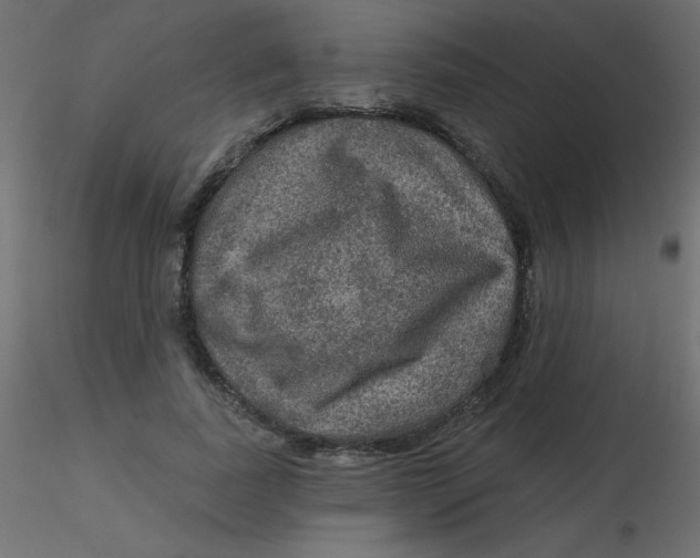 X0000116590739200912312035