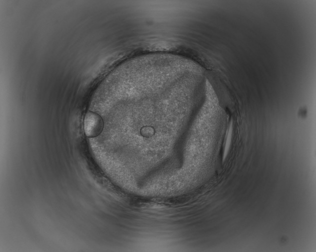 X0000116590743200912312036