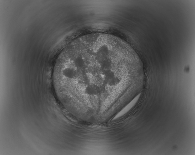 X0000116590745200912312036