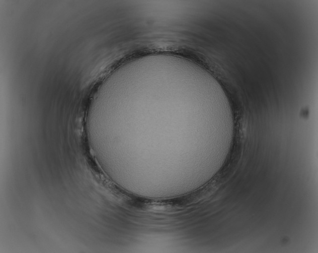 X0000116590746200912312036