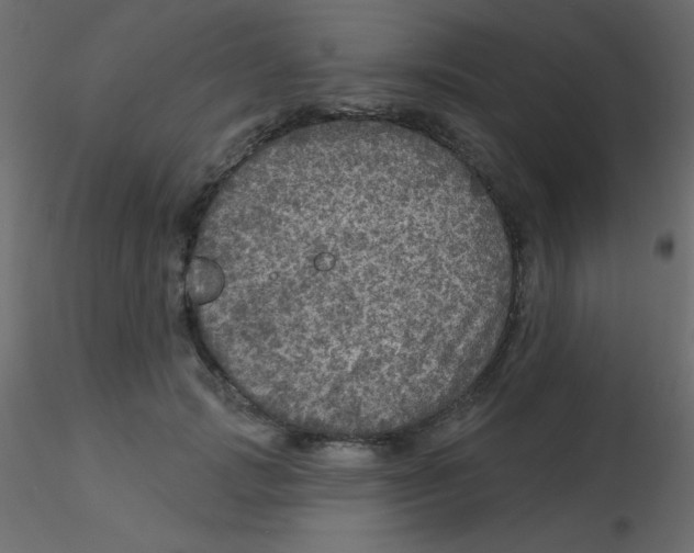 X0000116590749200912312036