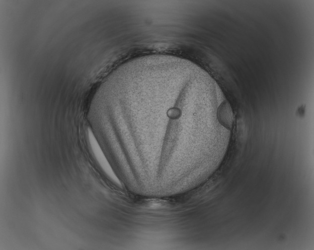 X0000116590750200912312036