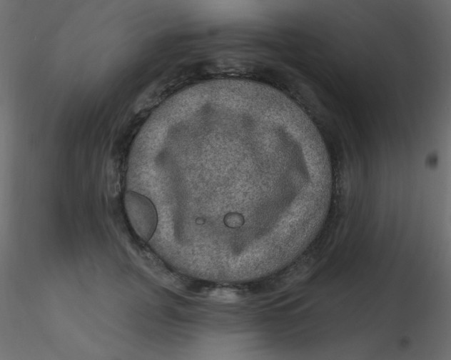 X0000116590751200912312036