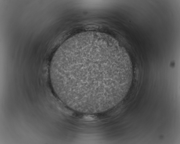 X0000116590753200912312036