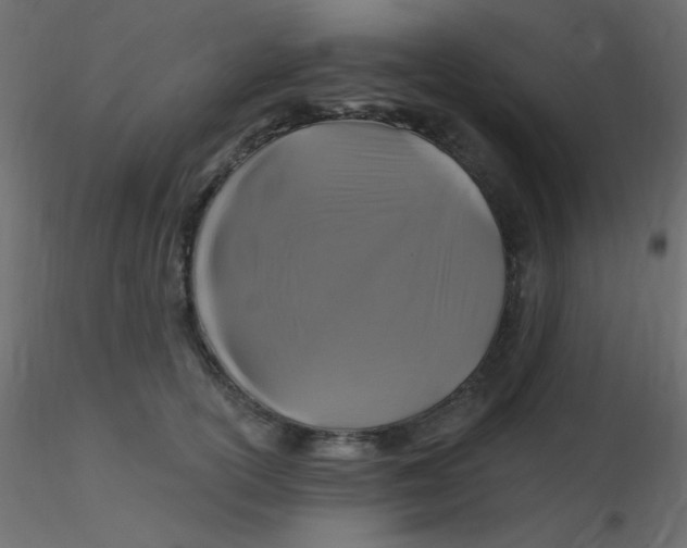 X0000116590754200912312036