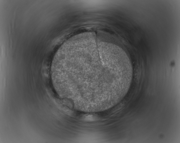 X0000116590755200912312036