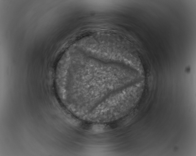 X0000116590757200912312036