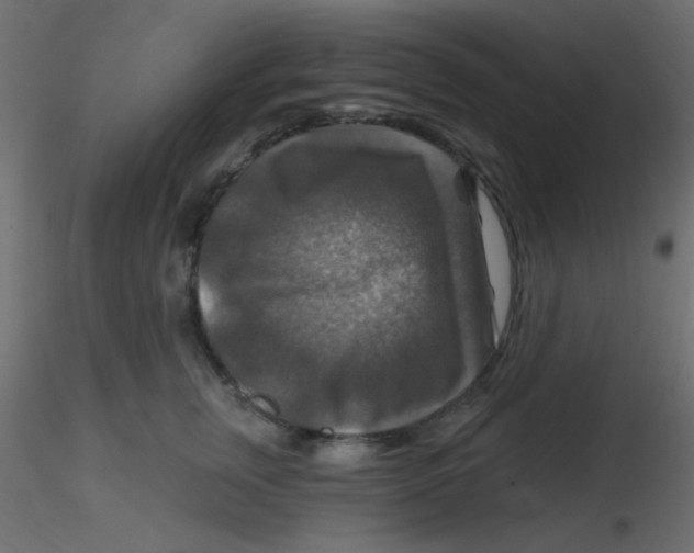 X0000116590759200912312036