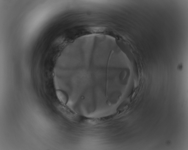 X0000116590763200912312036