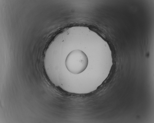 X0000116590769200912312035