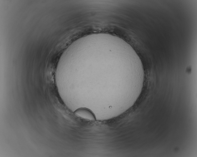 X0000116590770200912312035