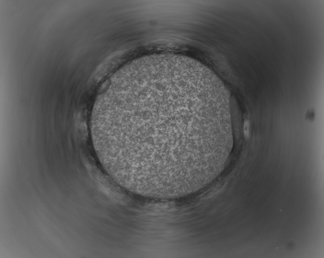 X0000116590771200912312035