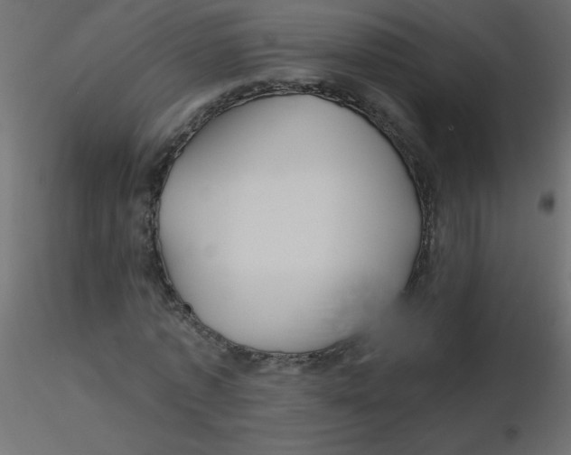 X0000116590773200912312035