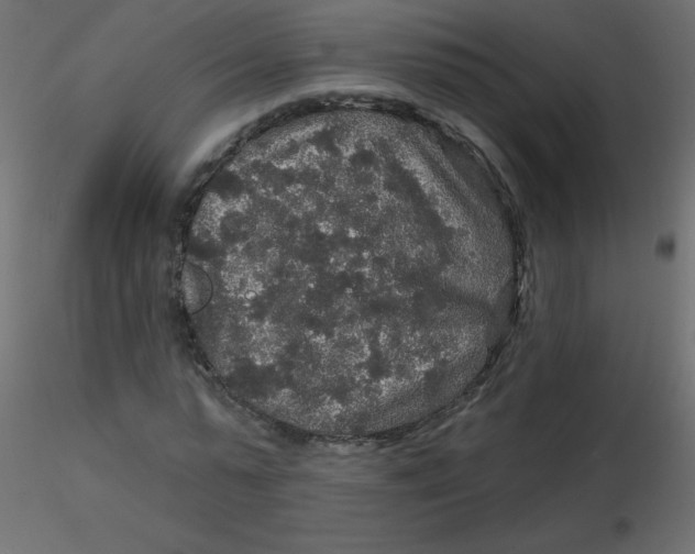 X0000116590775200912312035