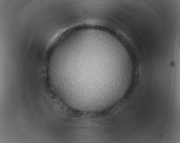 X0000116590776200912312035