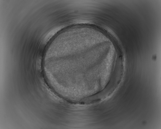 X0000116590777200912312035