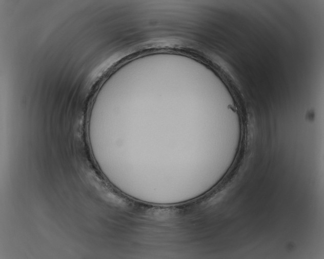 X0000116590778200912312035