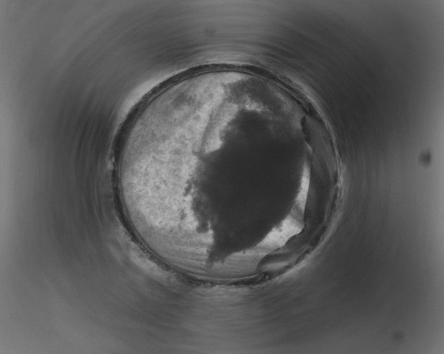 X0000116590779200912312035