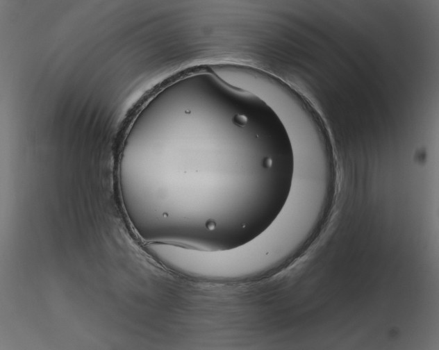 X0000116590781200912312035