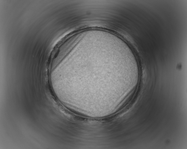 X0000116590782200912312035