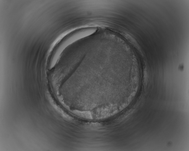 X0000116590784200912312035