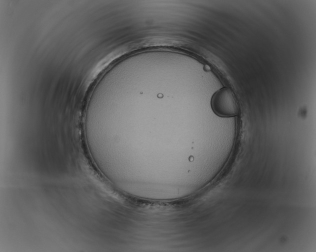 X0000116590786200912312035