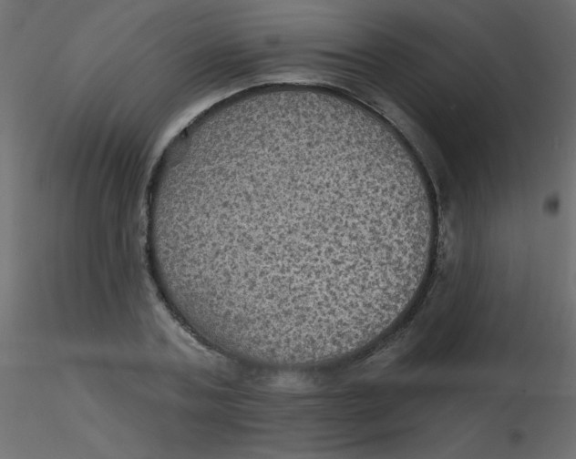 X0000116590787200912312035