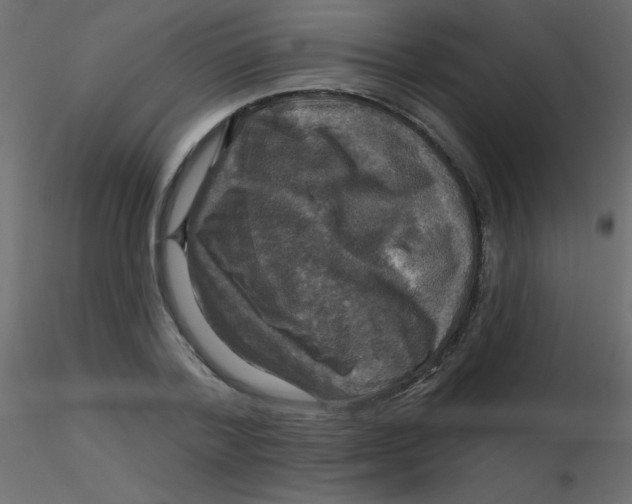 X0000116590788200912312035