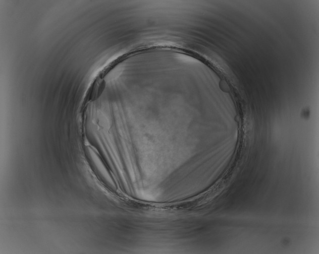 X0000116590790200912312035