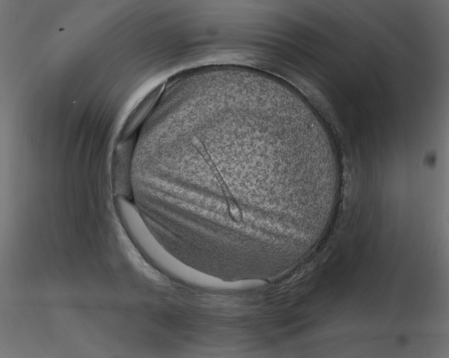 X0000116590792200912312035