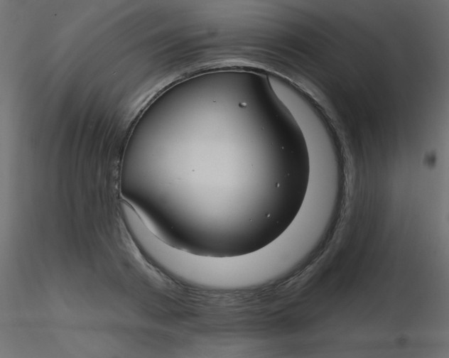 X0000116590793200912312035