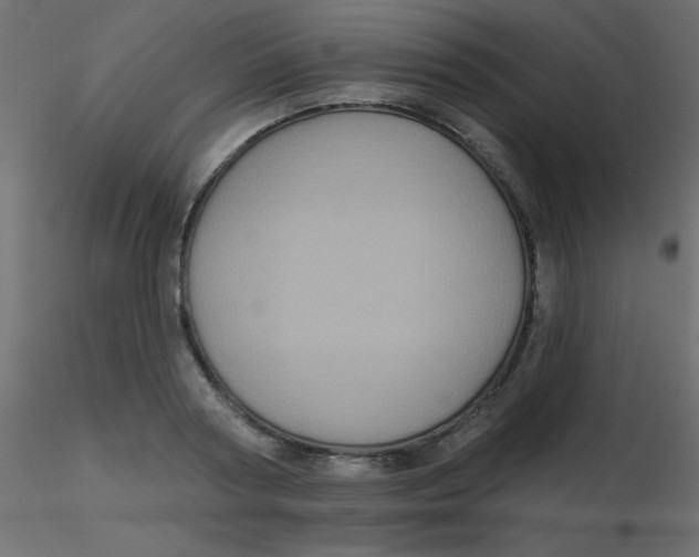 X0000116590794200912312035