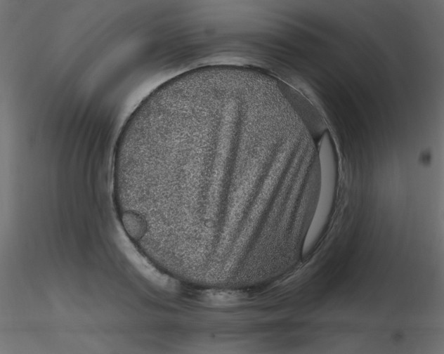 X0000116590795200912312035