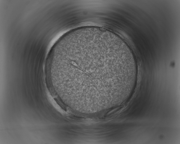 X0000116590796200912312035