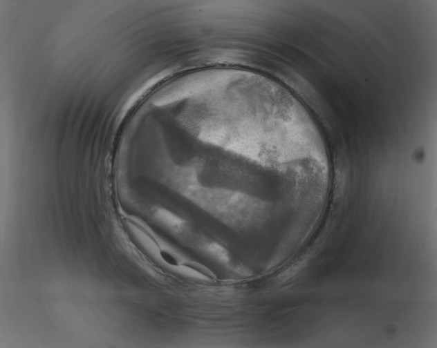 X0000116590798200912312035