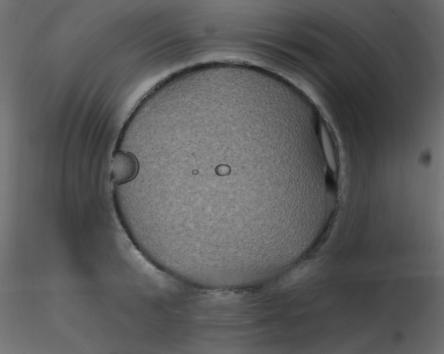 X0000116590799200912312035