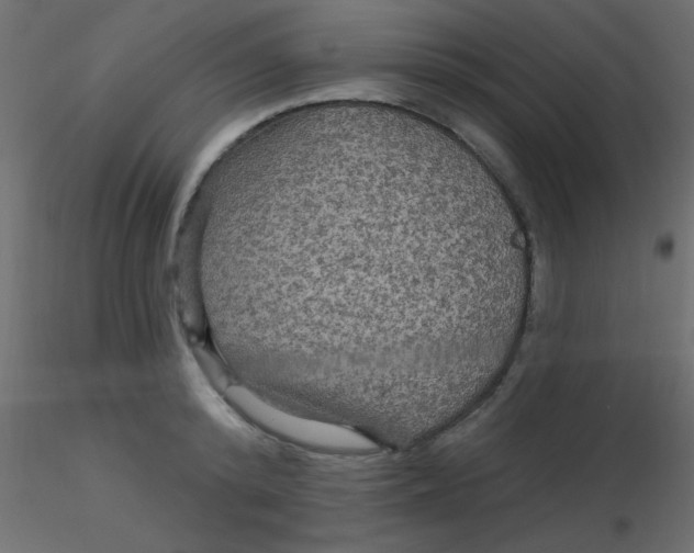 X0000116590800200912312035