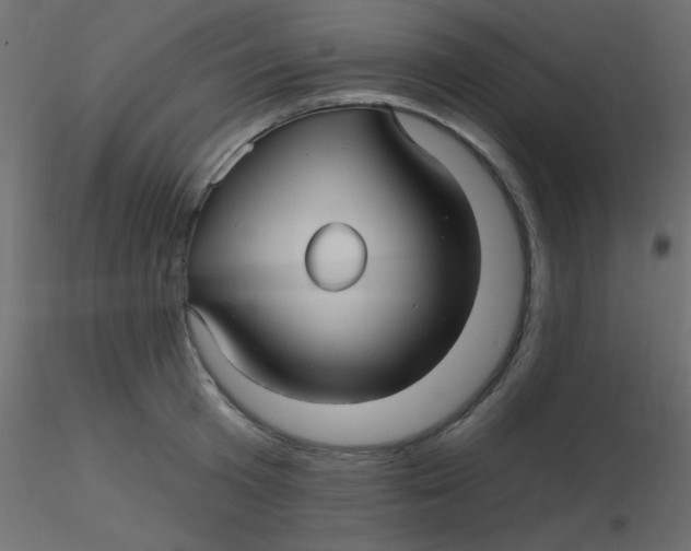 X0000116590801200912312035